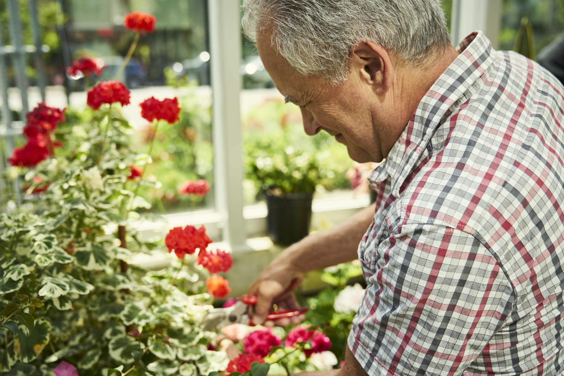 Resident gardening